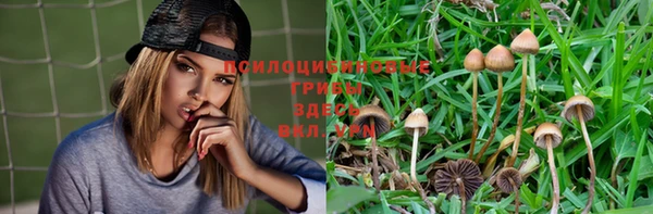 MESCALINE Армянск