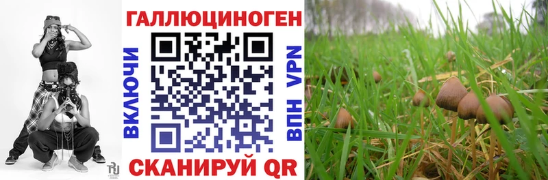 Псилоцибиновые грибы прущие грибы Балей